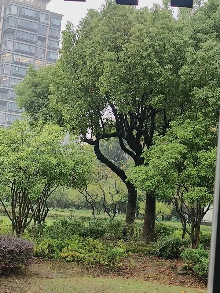有些关系断了，其实是一种福气，如果一个人突然之间不联系你了，其实也不是失去。
如