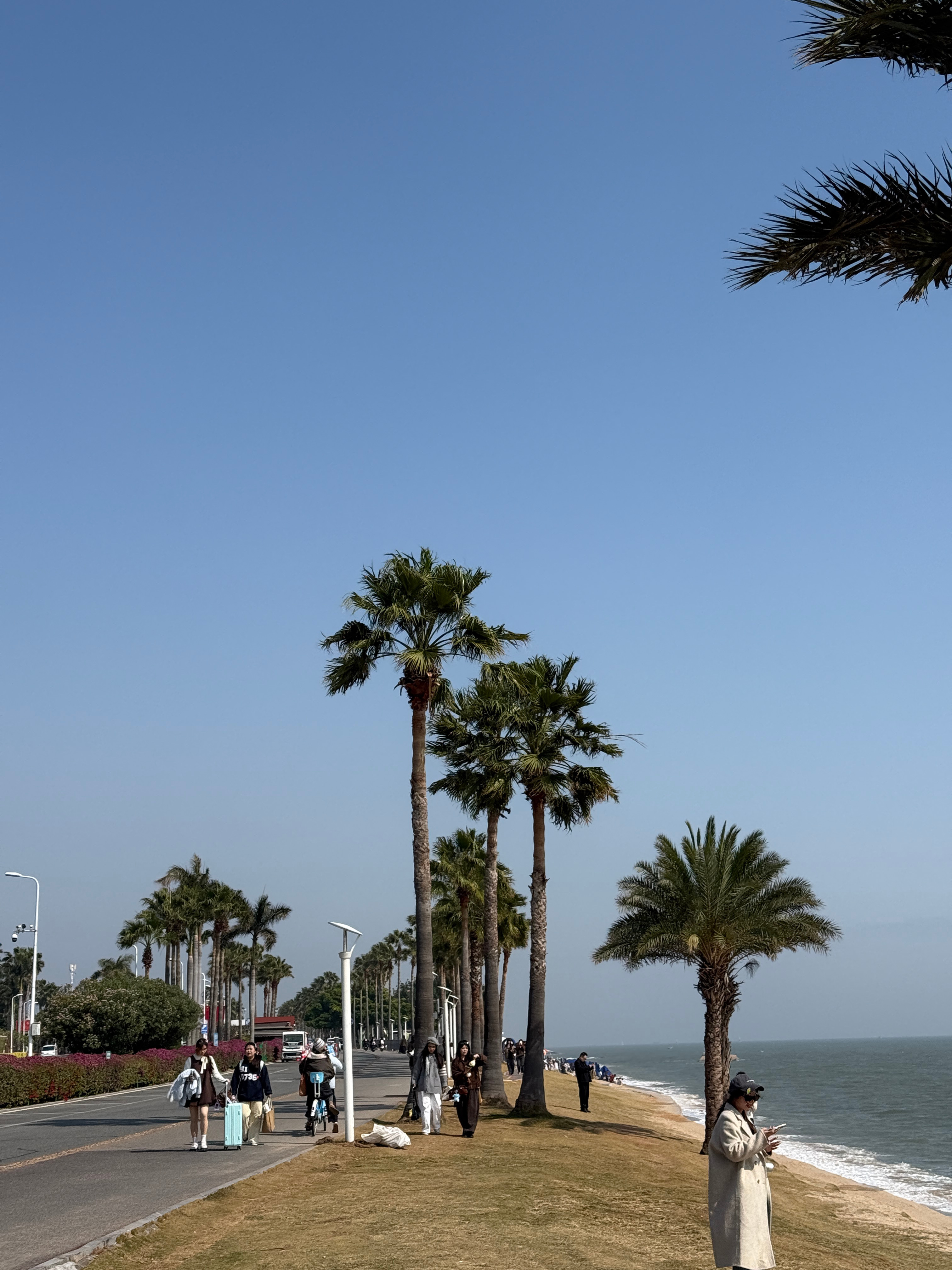实名羡慕厦大，被山海环抱，景色真的绝 厦门确实是个很棒的城市，也很网红。虽然我也