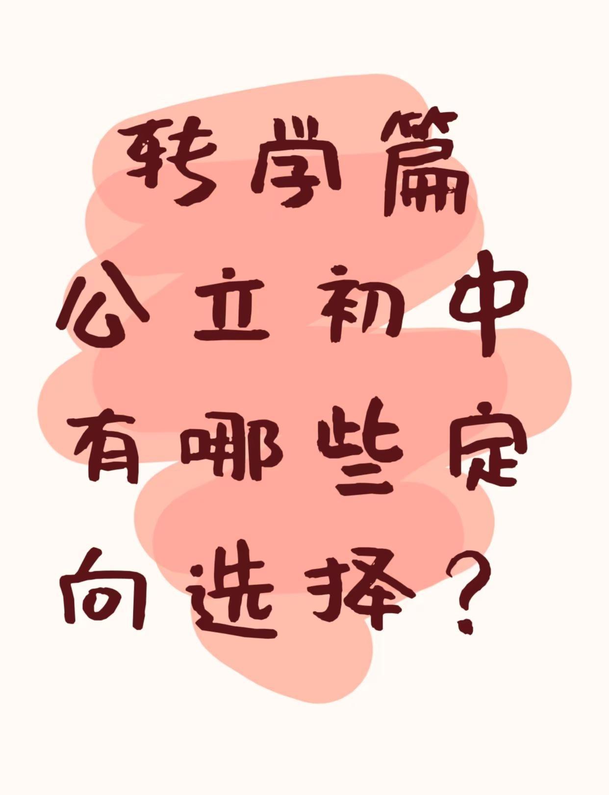 这也是一种不错的选择。一般人不告诉他 哪些公立初中可选？初中安置