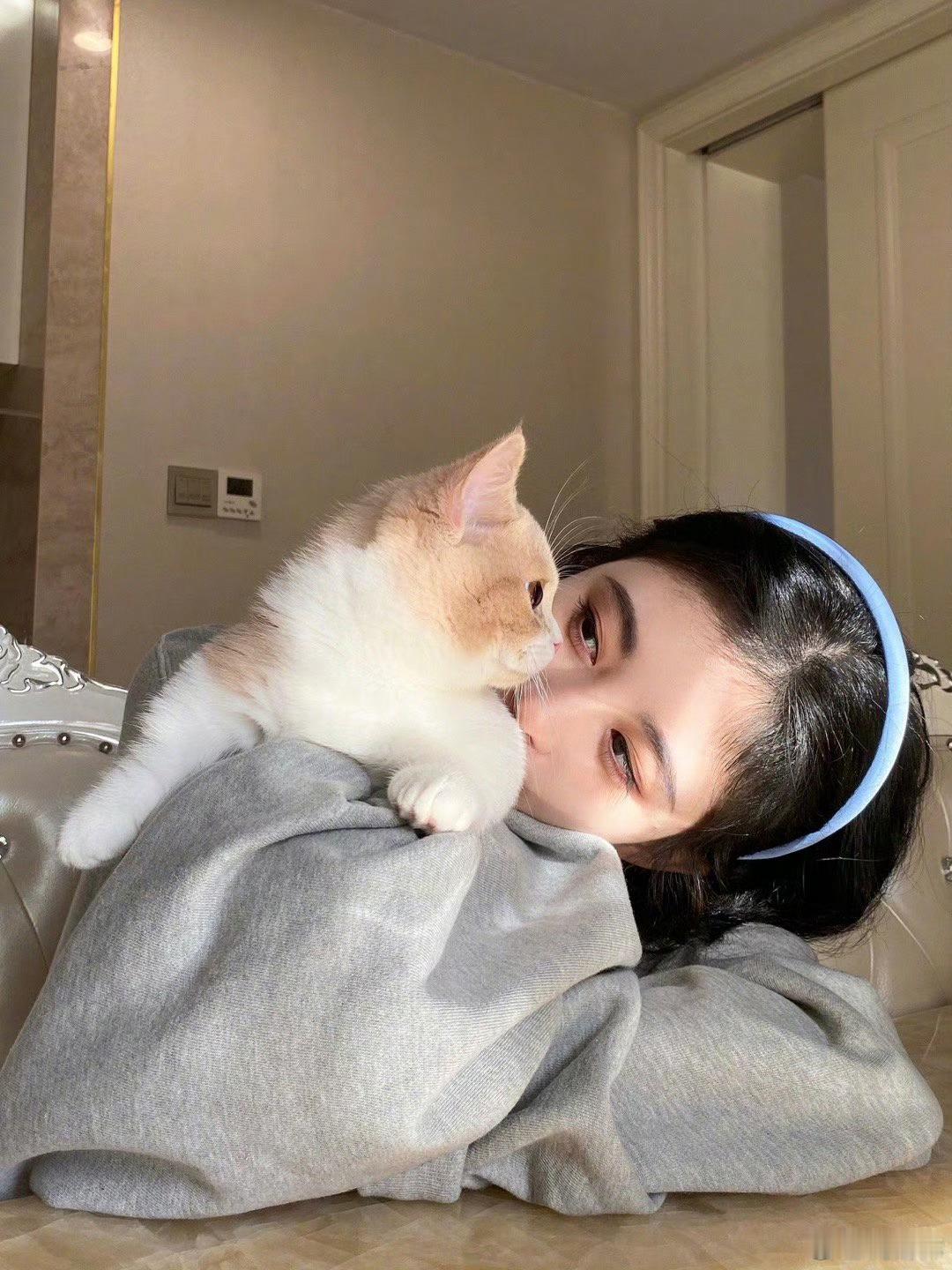 做我的猫🐾🐱🐈⬛鞠婧祎