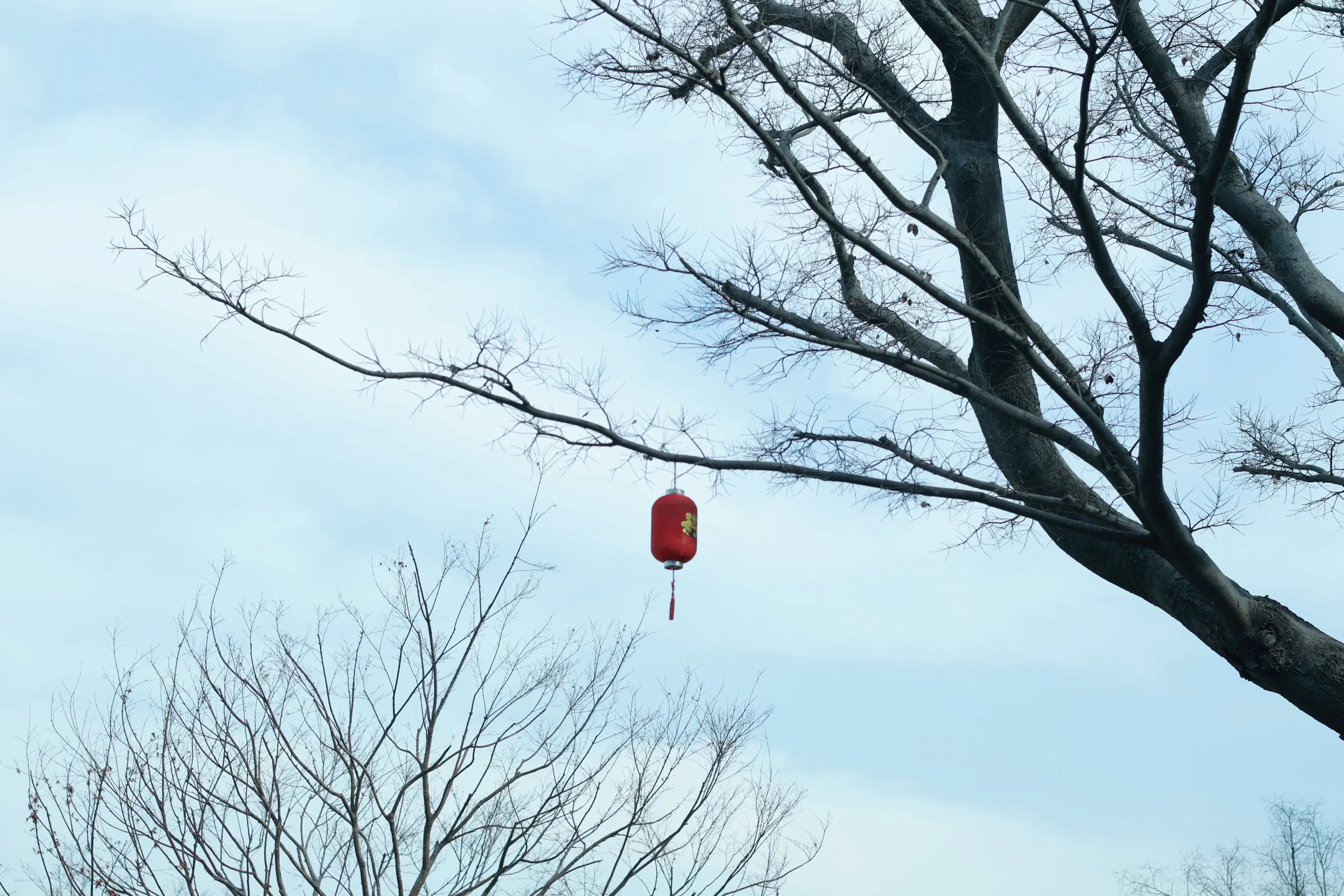跟着红尘 跟随我浪迹一生…..