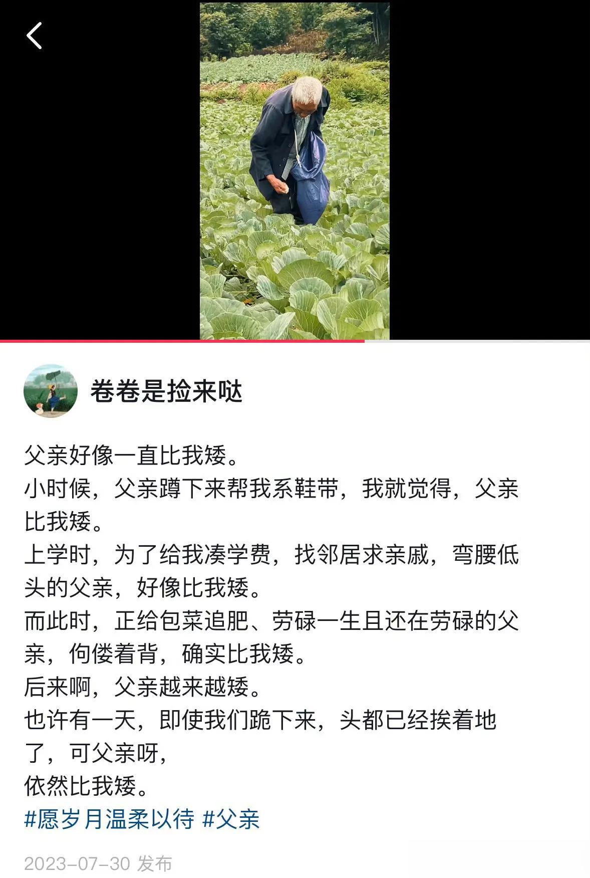 终于也感受到了文字的厚重
现在不用学阅读理解了，反而在慢慢理解…… 
时间的沉淀
