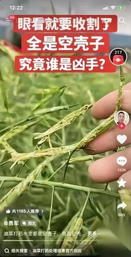 刷完三条抖音

后背全凉了

居然没人出来管这事？

全是无人机乱打药的糟心事：
