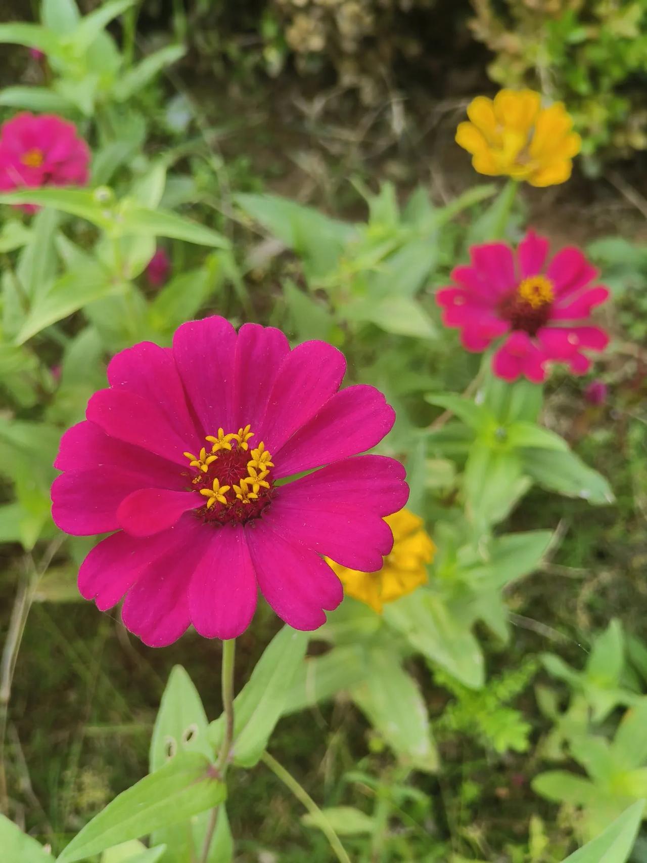 90后宝妈找工作难啊！某招聘只要一个人，三个人争取，结果老板都还没看中！
争取的