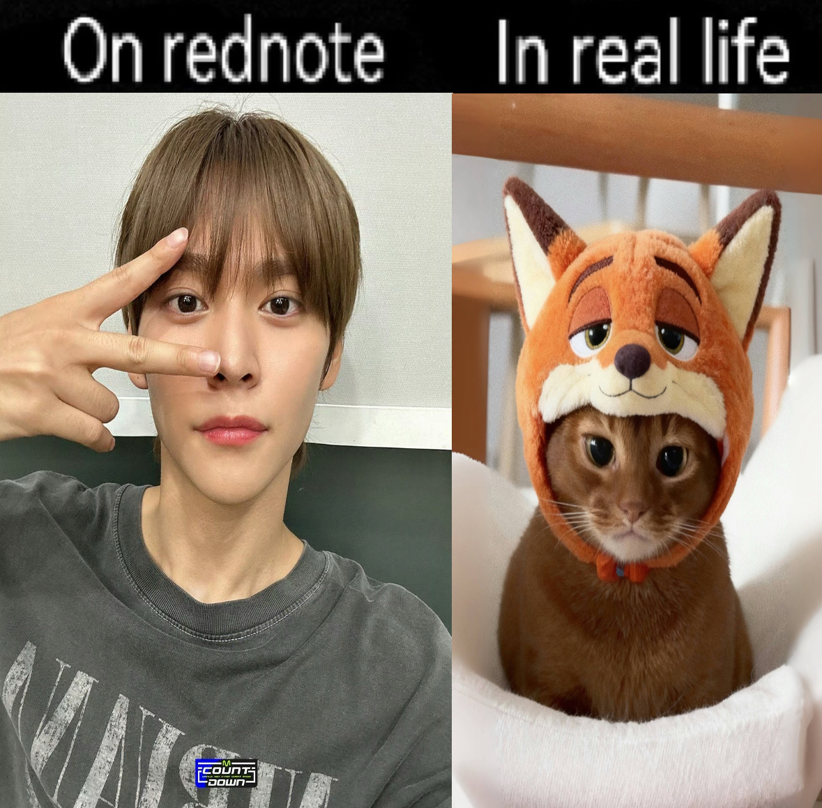 硕meme3:3 ​  ​​​
