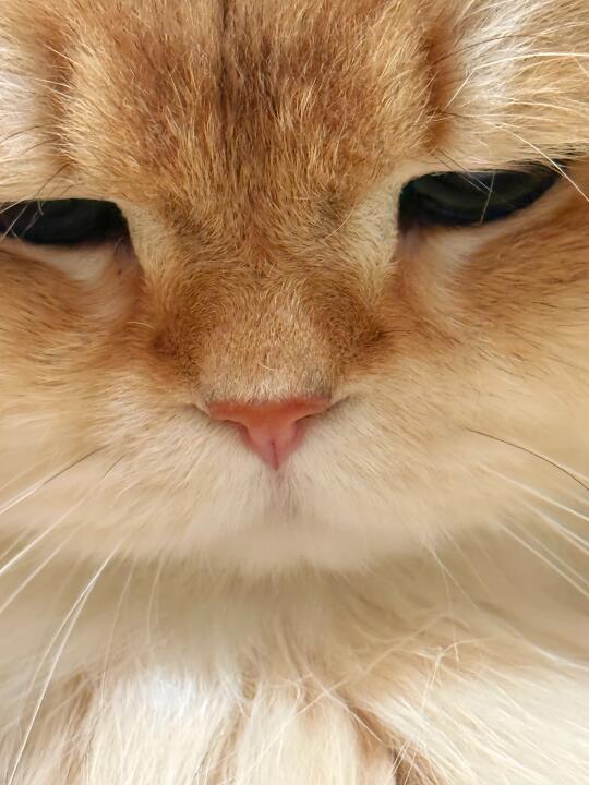 人，咪今天有点桑熏树