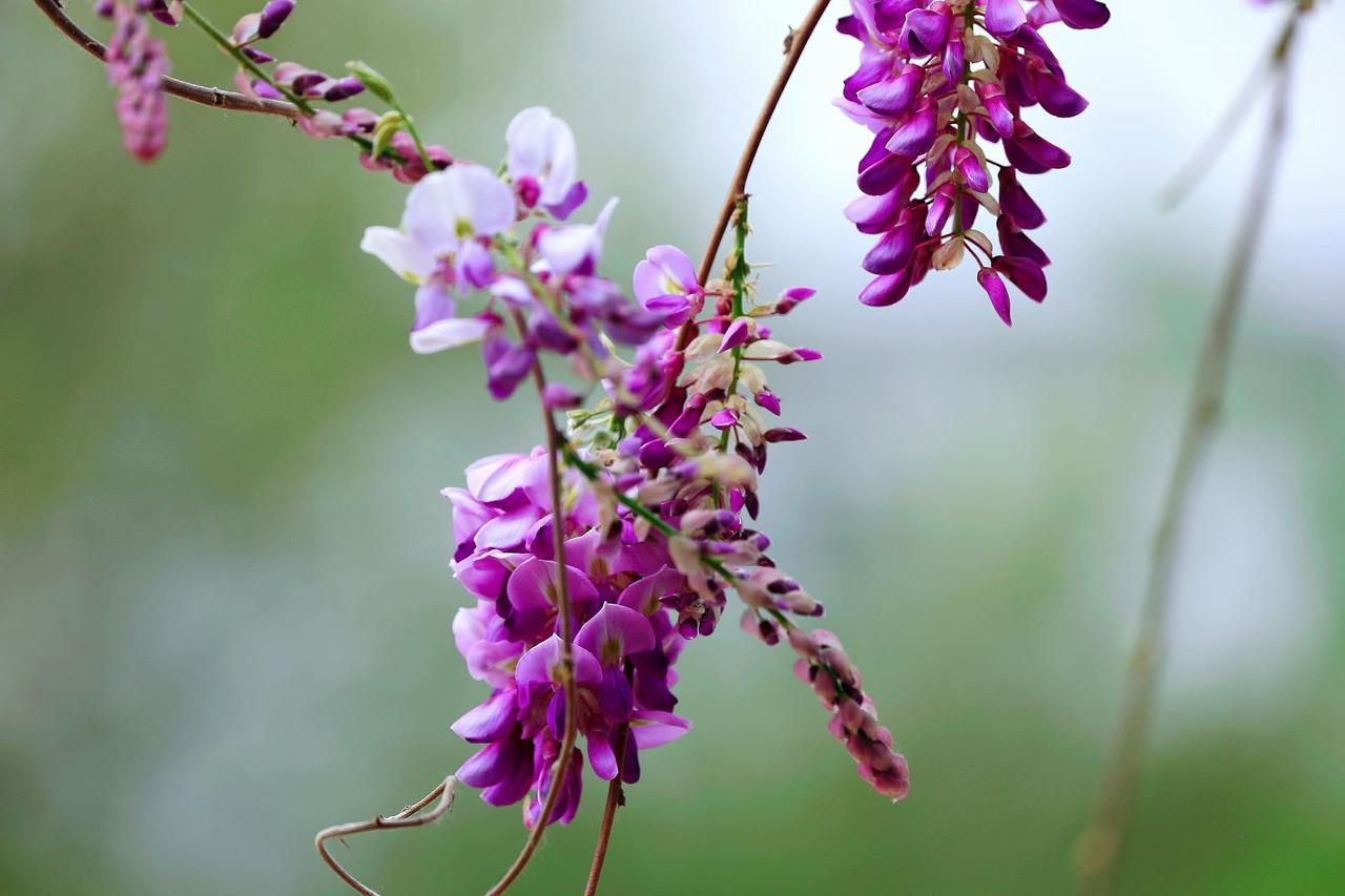 往后余生，放下不知足，看淡身外之物。不攀比、不抱怨、不贪心，珍惜手里的幸福，过好