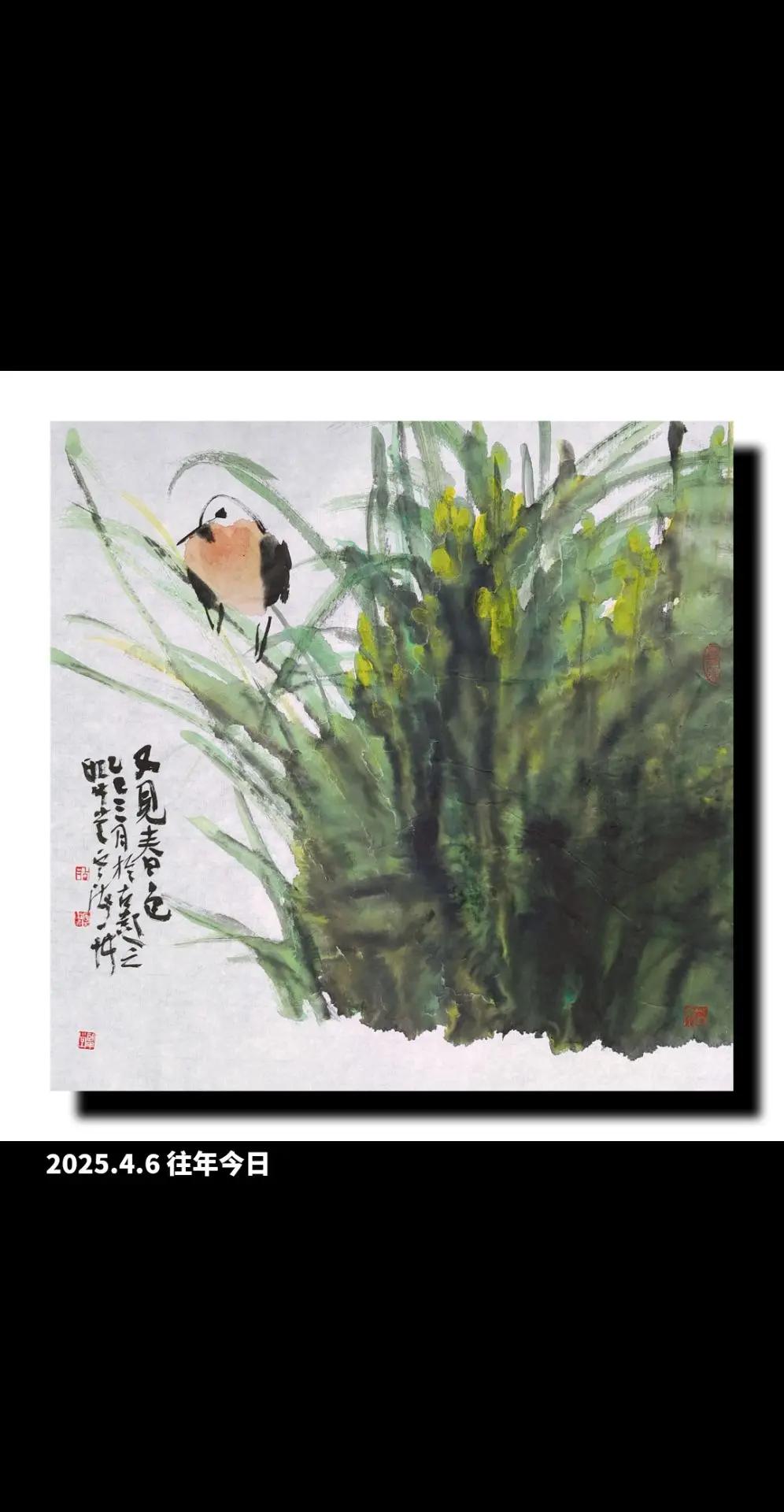 徐州胡云海花鸟画旧作。书画欣赏 色彩