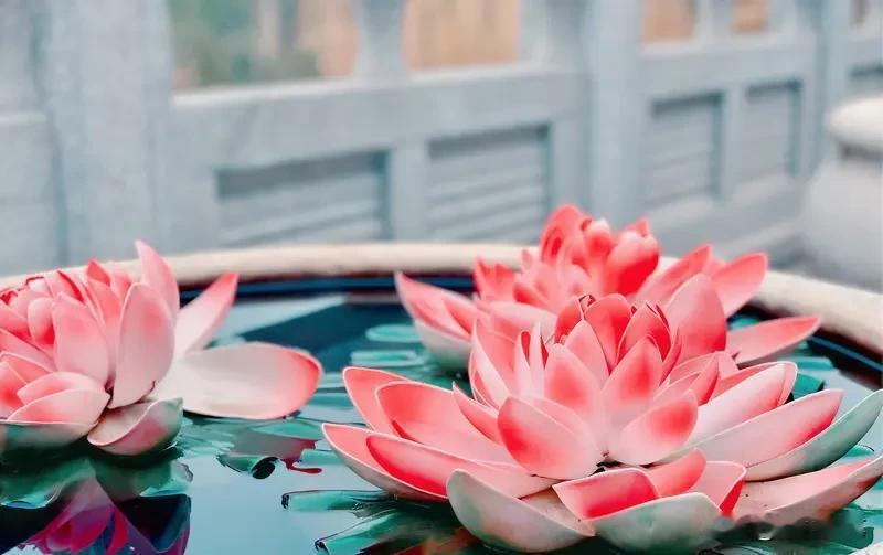 人生的风雨，我们每一个人都要经历。你一生该有的波折，你是逃不掉的，迟早都会遇到。