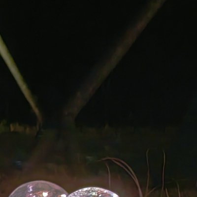 🌿 时间礼赞每一秒努力都在雕刻未来的模样。不沉溺昨日遗憾，不空盼明日曙光，此刻