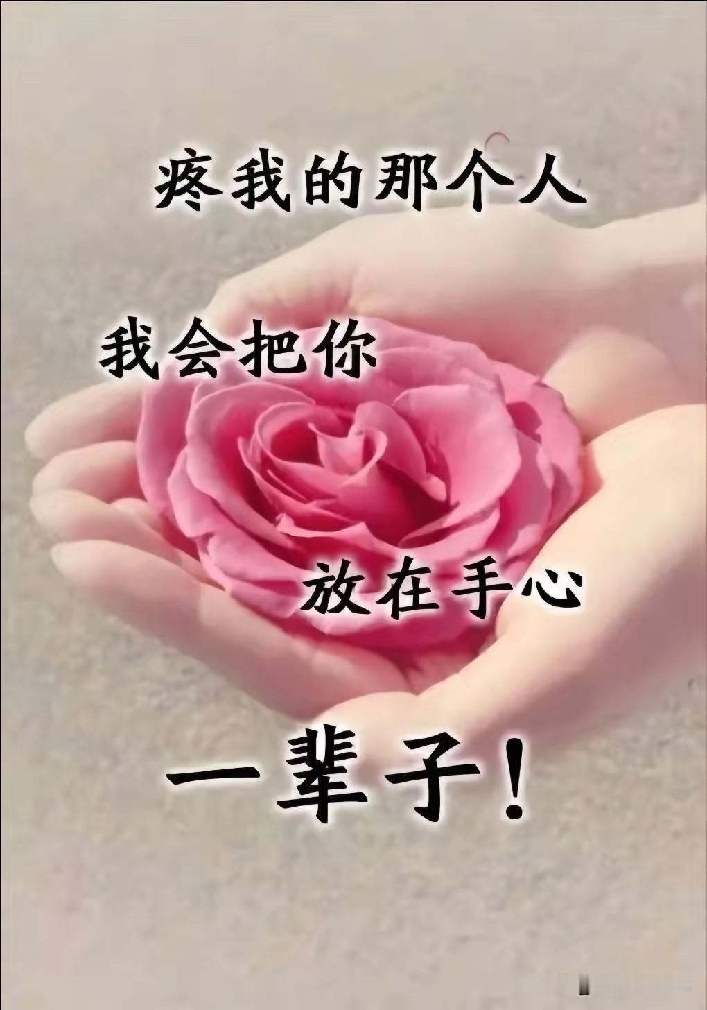你是那娇艳欲滴的玫瑰
愿你永远是我手心里的温柔
吻着你的芬芳
心扉馨香
挂肚牵肠