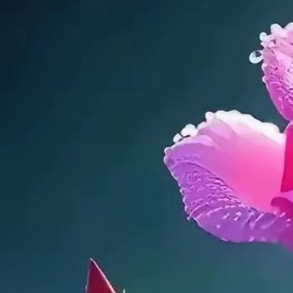 用行动去践行梦想，用拼搏去达成目标。所有的美好都会如期而至，所有的梦想都能成真！