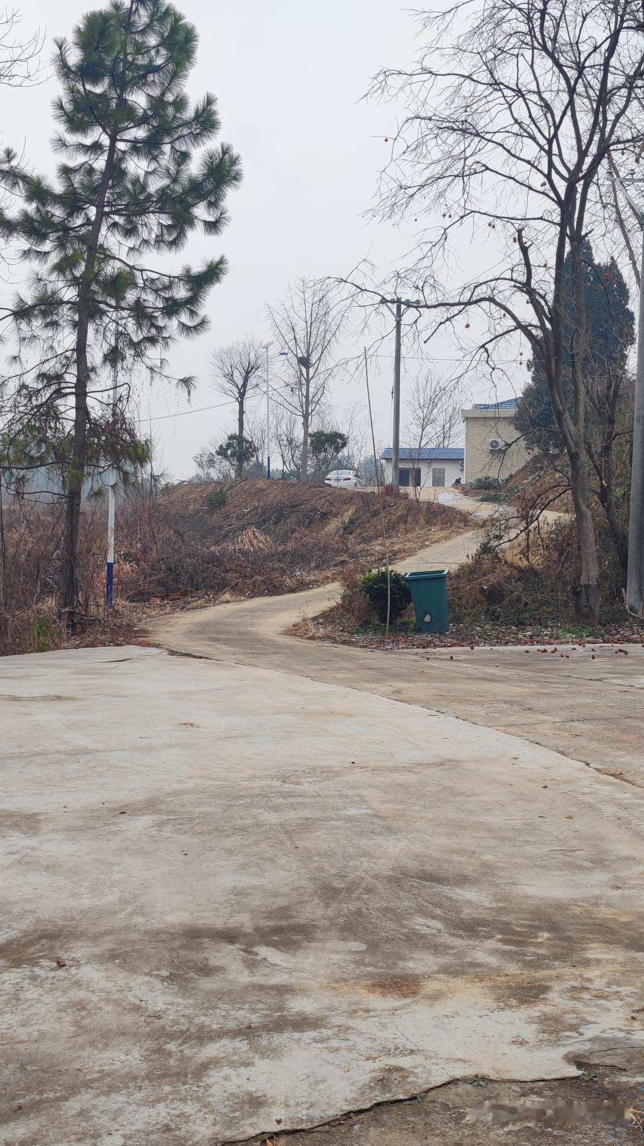 冬日生活打卡季