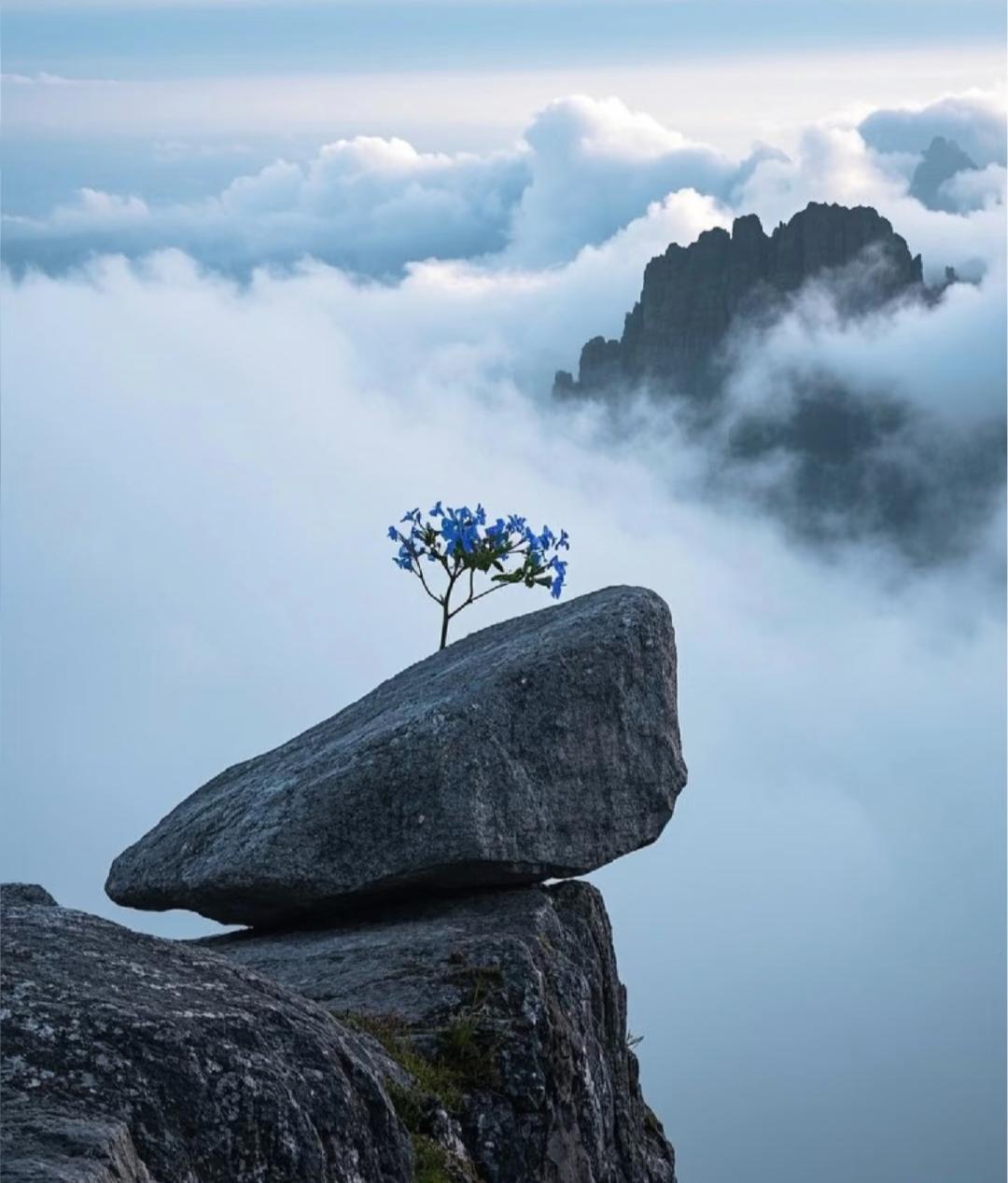 人到中年
就会慢慢的发现
小时候视为一切的亲情
长大后变得越发的疏离
年轻时候爱