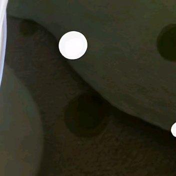 每日一善阳光信用每日一善 人生的奔跑，不在于瞬间的爆发，取决于途中的坚持，纵有千