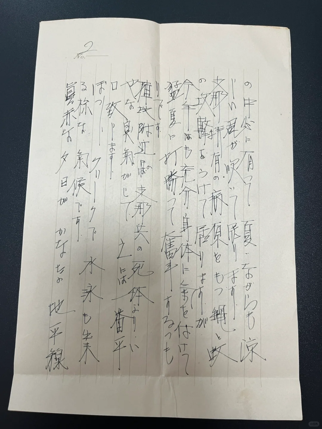 一头鬼子记录的最真实侵华历史。