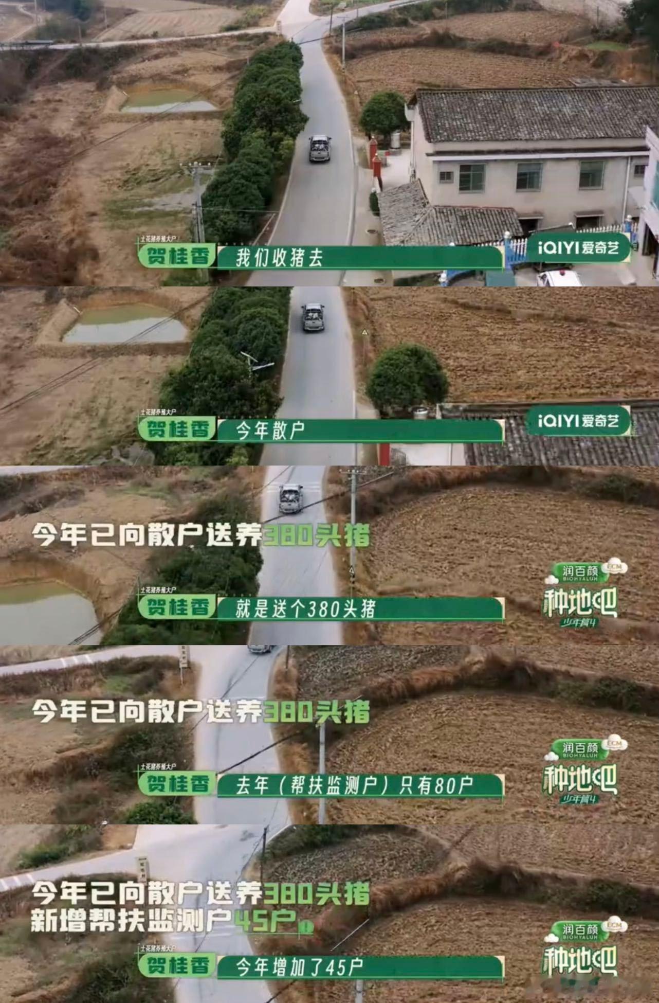 种地吧4先导片种地吧 从当初拓宽销路到如今产业壮大，宁乡花猪的发展肉眼可见，新增