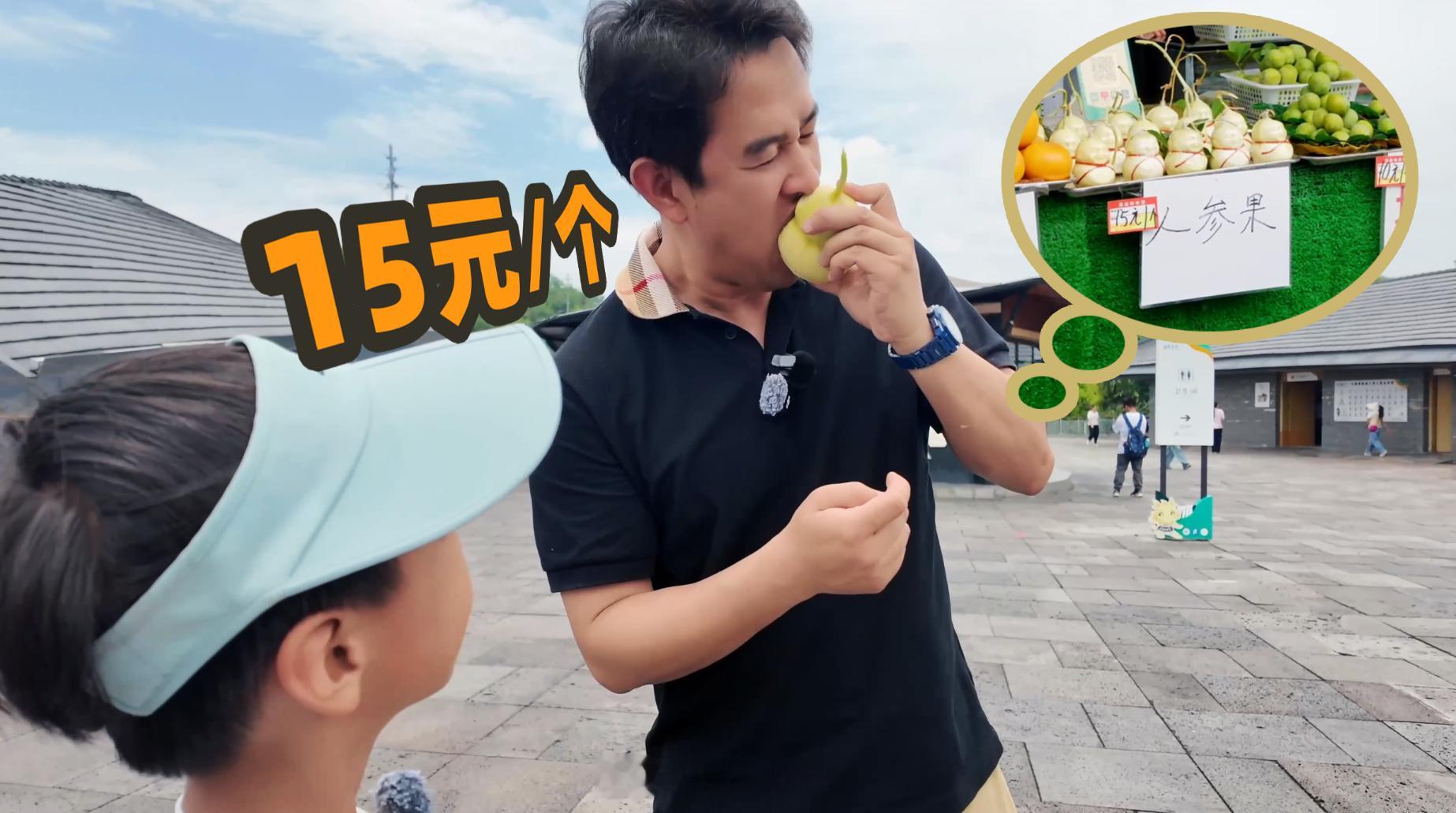 我好像知道我在贵州游记里吃的“人参果”是怎么来的了没看视频的小伙伴可以去看下还给