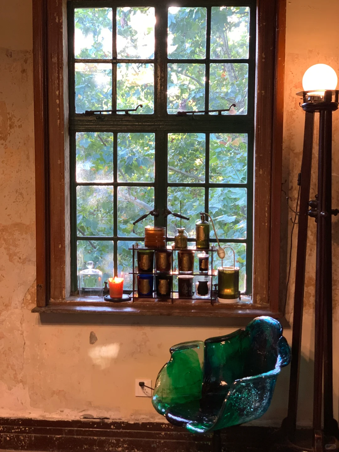 入秋生活碎片🧩