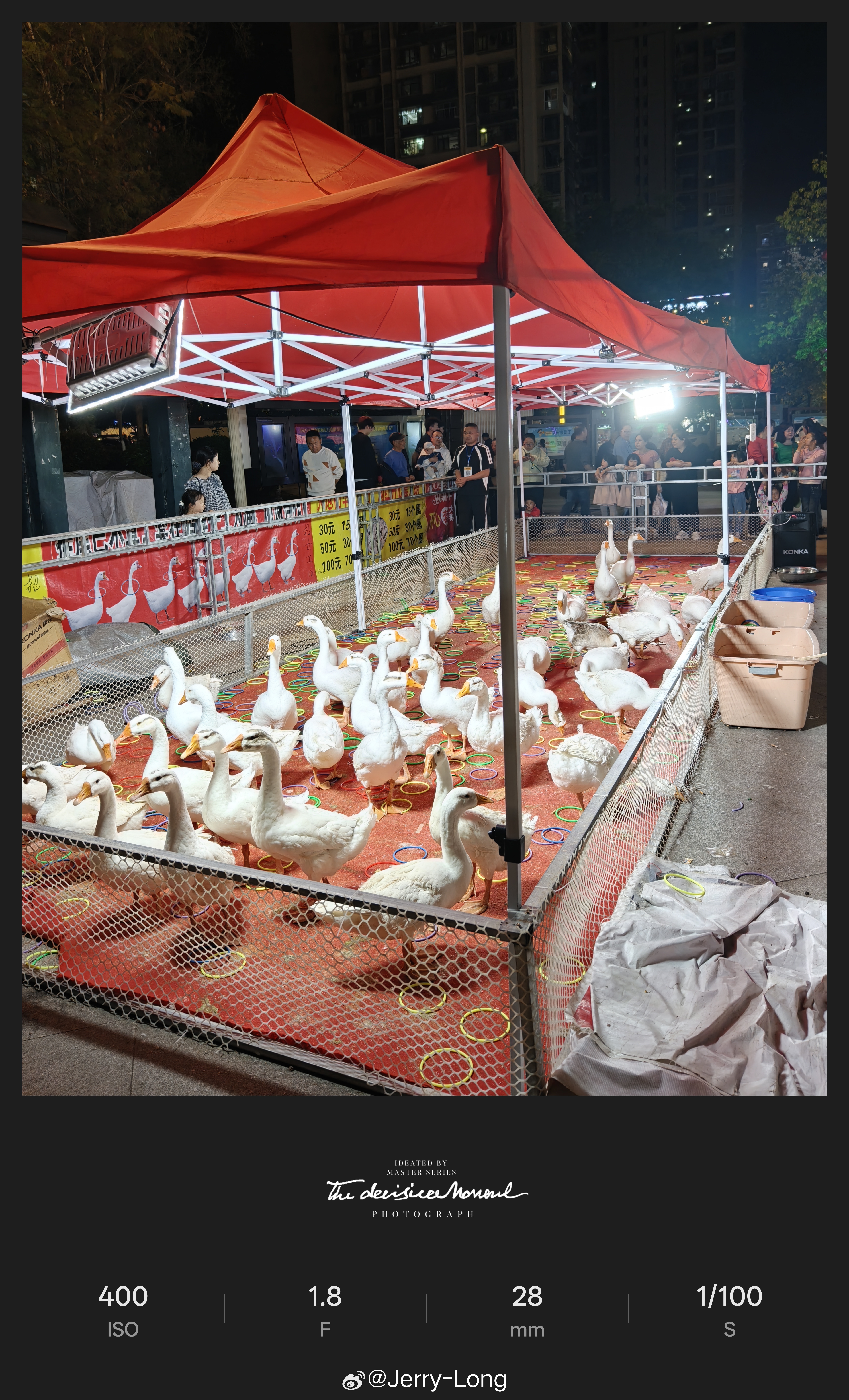 套个鹅第一次见 内江·婆城公园