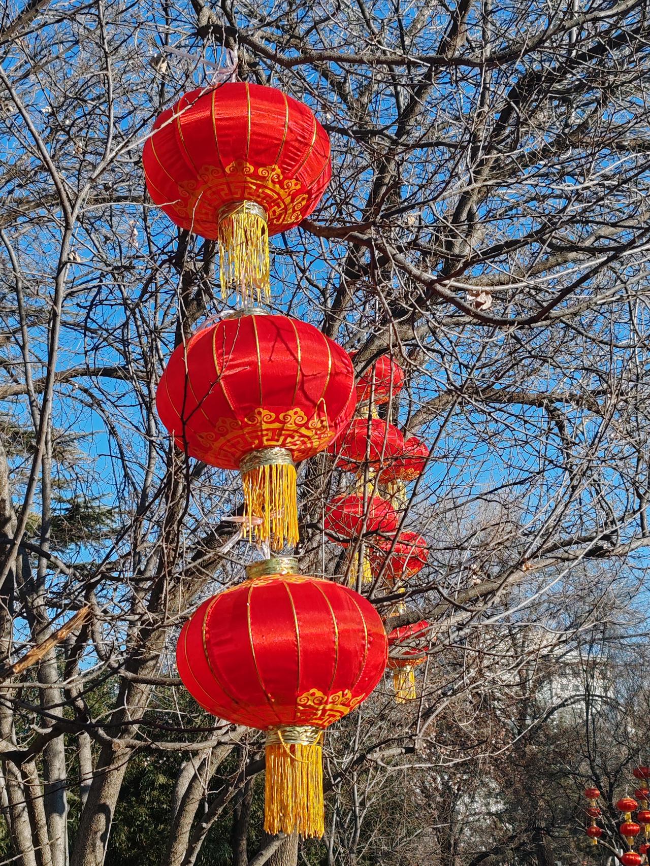 晒图笔记大赛大红灯笼髙髙挂，红红火火迎新春。
