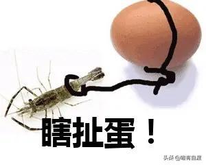 你知道什么样的人是善良的人吗？
我被这句话惊到了，直击灵魂。
善良的人是看出了你