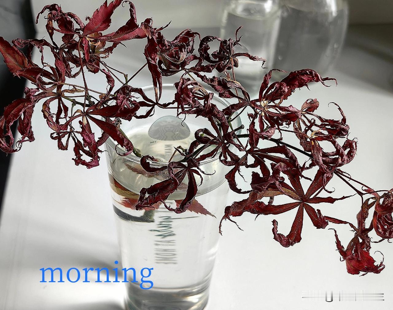 上联：深海浅海海连海，诚邀下联高山低山山挨山