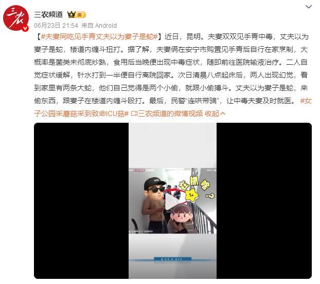 夫妻同吃见手青丈夫以为妻子是蛇昆明这对夫妻自家炒见手青没熟透，当晚中毒去医院输液