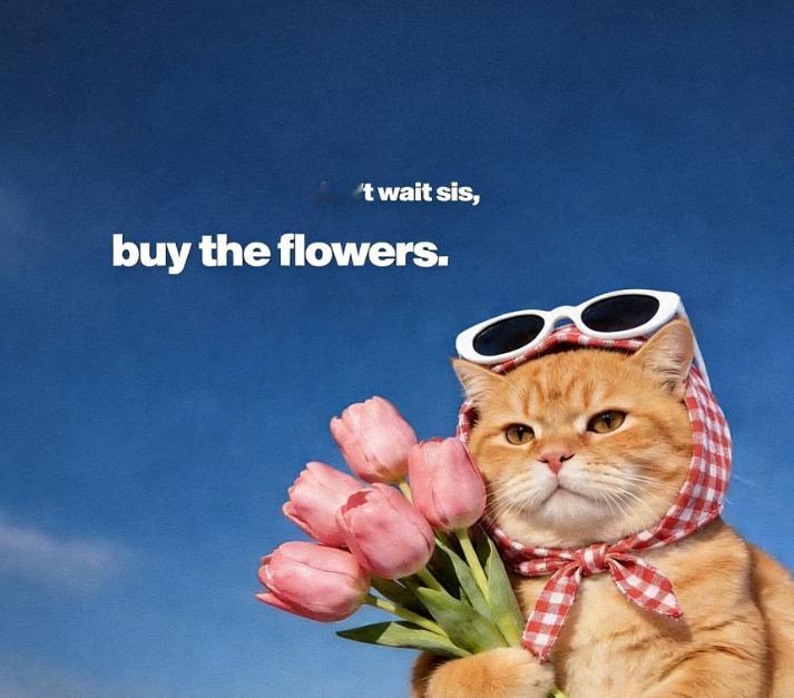 分享一个玄学真相

只要在住的房子里面发财了，升职加薪了，结婚生娃了，创业发财了