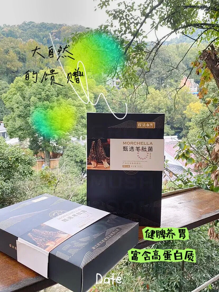 🔥高山珍品“菌中之王”——羊肚菌❗️