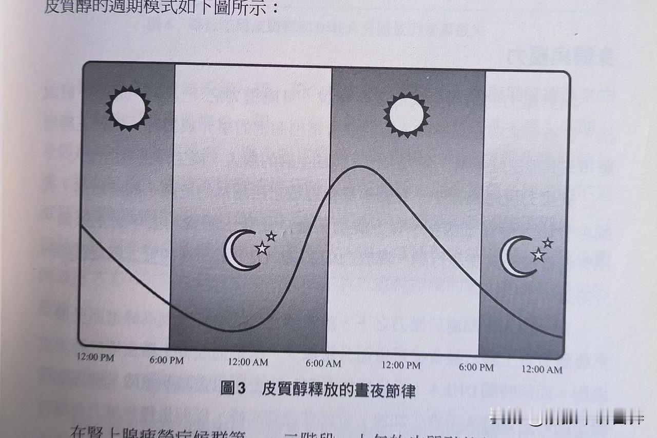 应对压力的皮质醇变化曲线 

皮質醇不是全天均一分泌，它們依循一个规律:上午8:
