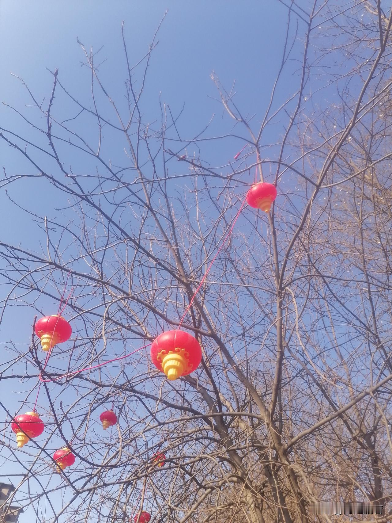 今天艳阳高照，风却很大，等风停下来再出门，我找出一本临摹的佛像，描完了老妈未完成