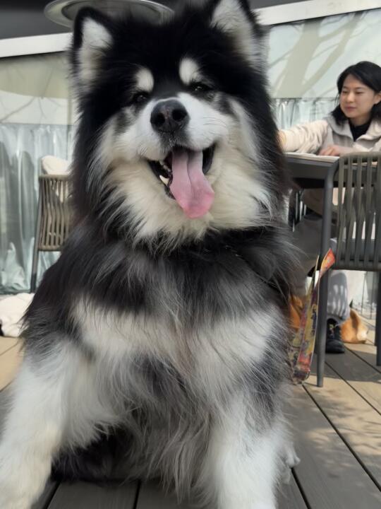 小朋友们都可爱🥰