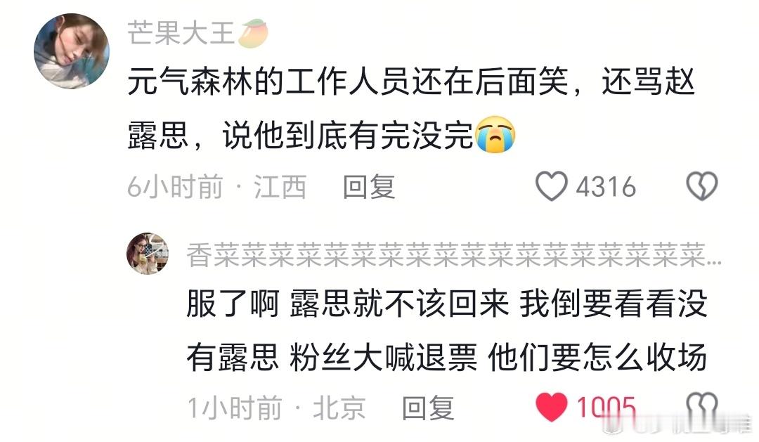 去看音乐节的都是普通人，有从国内国外赶过来了，这场音乐会大部分都是冲着赵露思来的