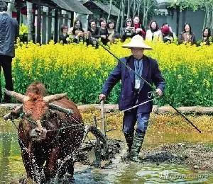 春耕图
            一
春风浩荡花满山，
老叟扶犁上野田。
一步一趋