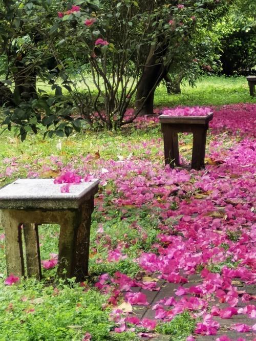 浣溪沙 · 落红

独倚斜栏细雨晴。
和吟宛转柳间莺。
无端心事暗潮生。

纤指