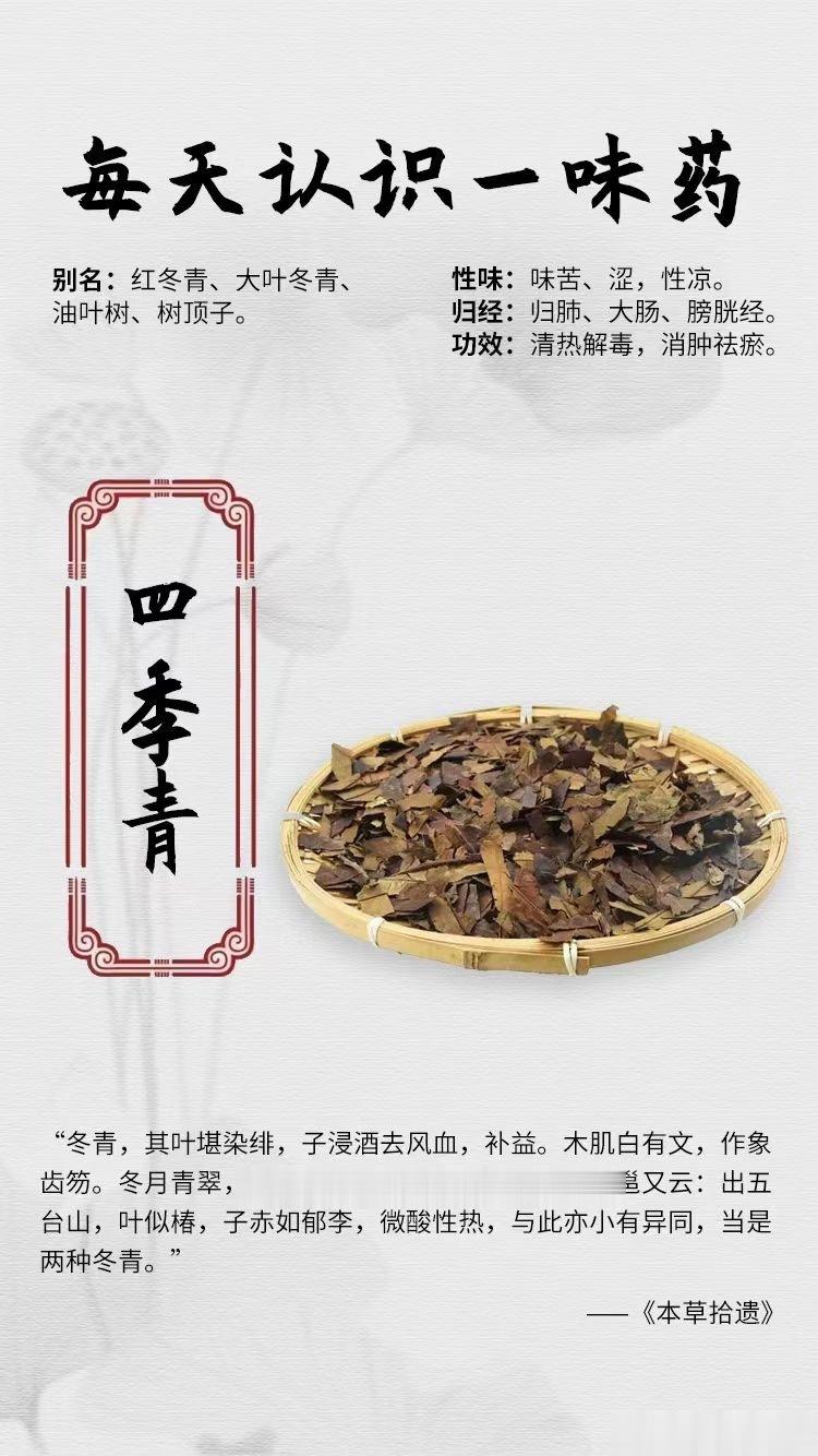 #国医的精诚力量##每天一味中草药##论道岐黄# ☘️【每天认识一味药】    
