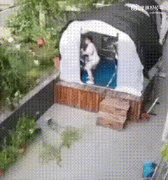 不得不说，这也太吓人了啊！