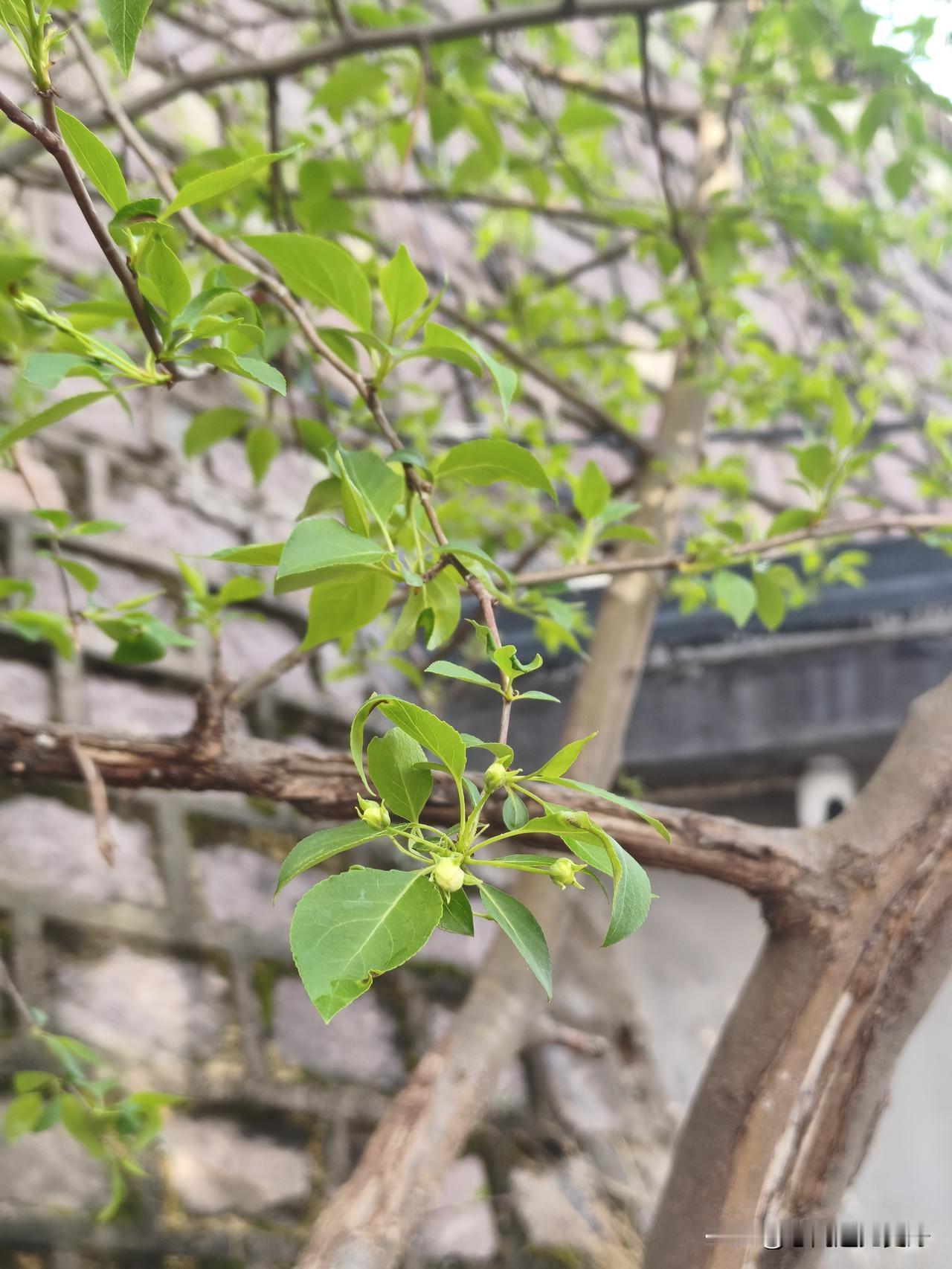 选择汽车，看你看中的是什么？品牌，品质，还是其他呢？

选择自己最在意的关注点！