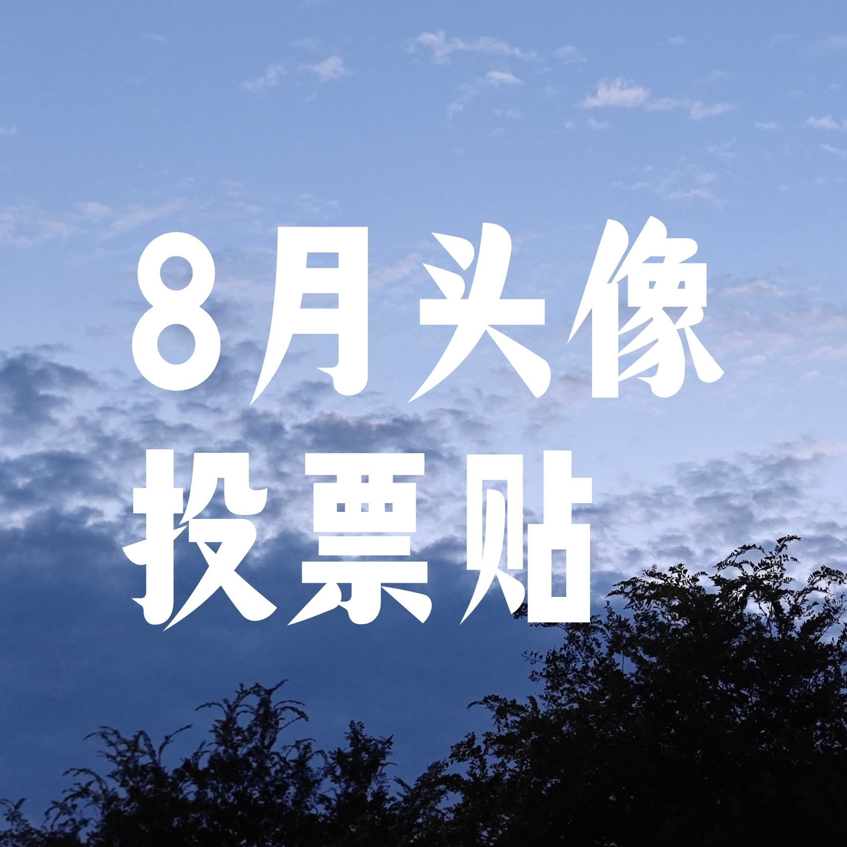 ☁️8月头像投票贴☁️请大家在评论区点赞你喜欢的图片，点赞数最高的3张图将成为下
