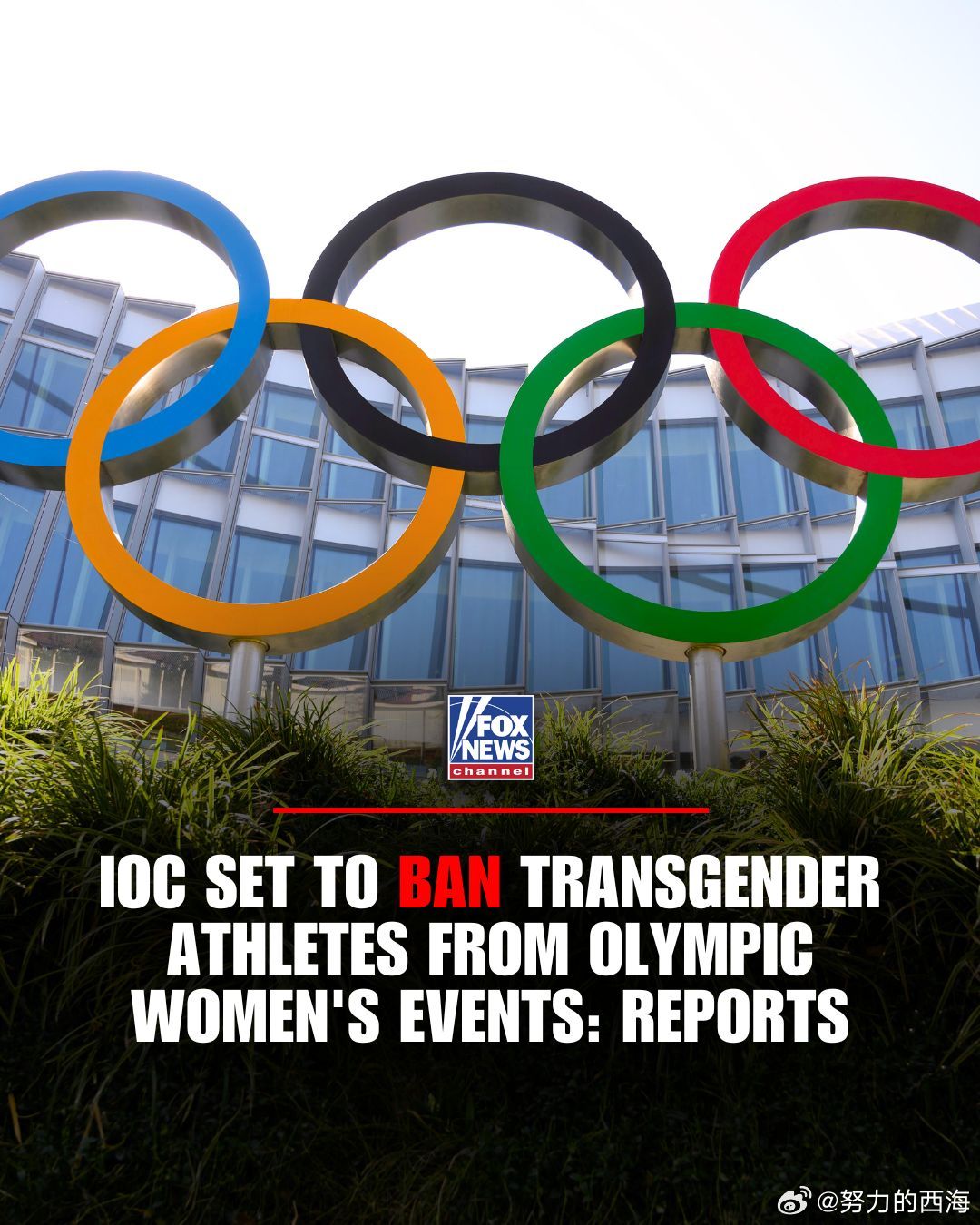 据报道,国际奥委会将禁止跨性别运动员与生理女性同场竞技-此举旨在“保护女子组”并