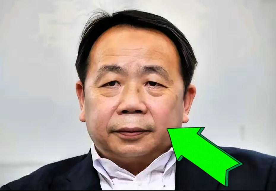 石平这个大汉奸又出来上蹿下跳了，他在12月20日发文：我认为日本从某种形式上应该