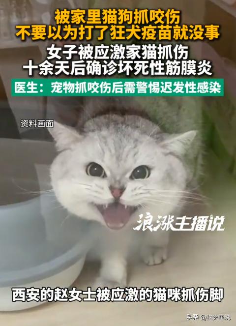 8月7日报道陕西西安，一女子被家猫抓出血，皮肤瞬间破损，出现三道出血抓痕。全程规