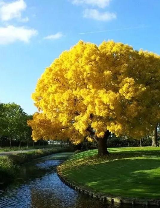 近年来，经济大环境对许多企业来说可谓挑战重重，但经济指标依然坚挺，为何？

其实