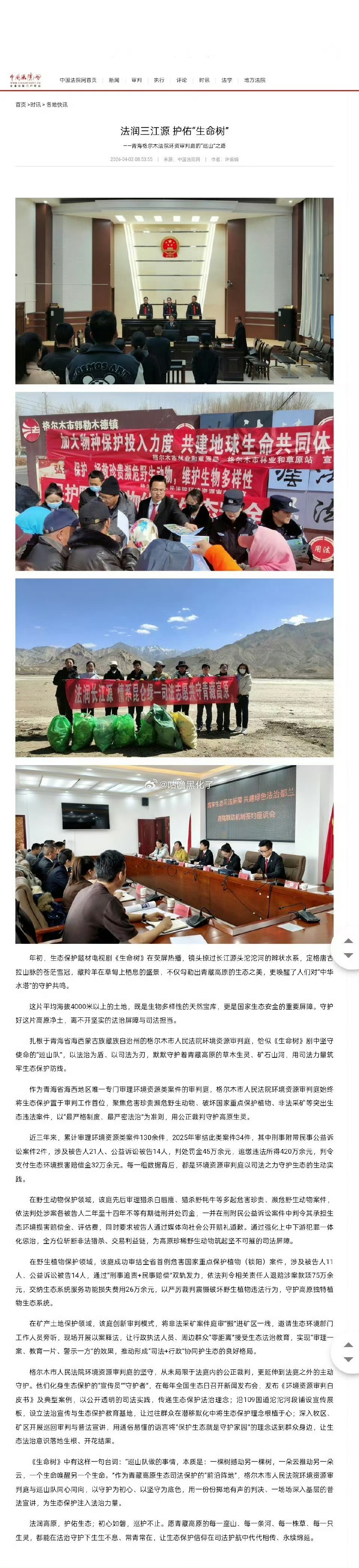 每天都感叹杨紫《生命树》了不起