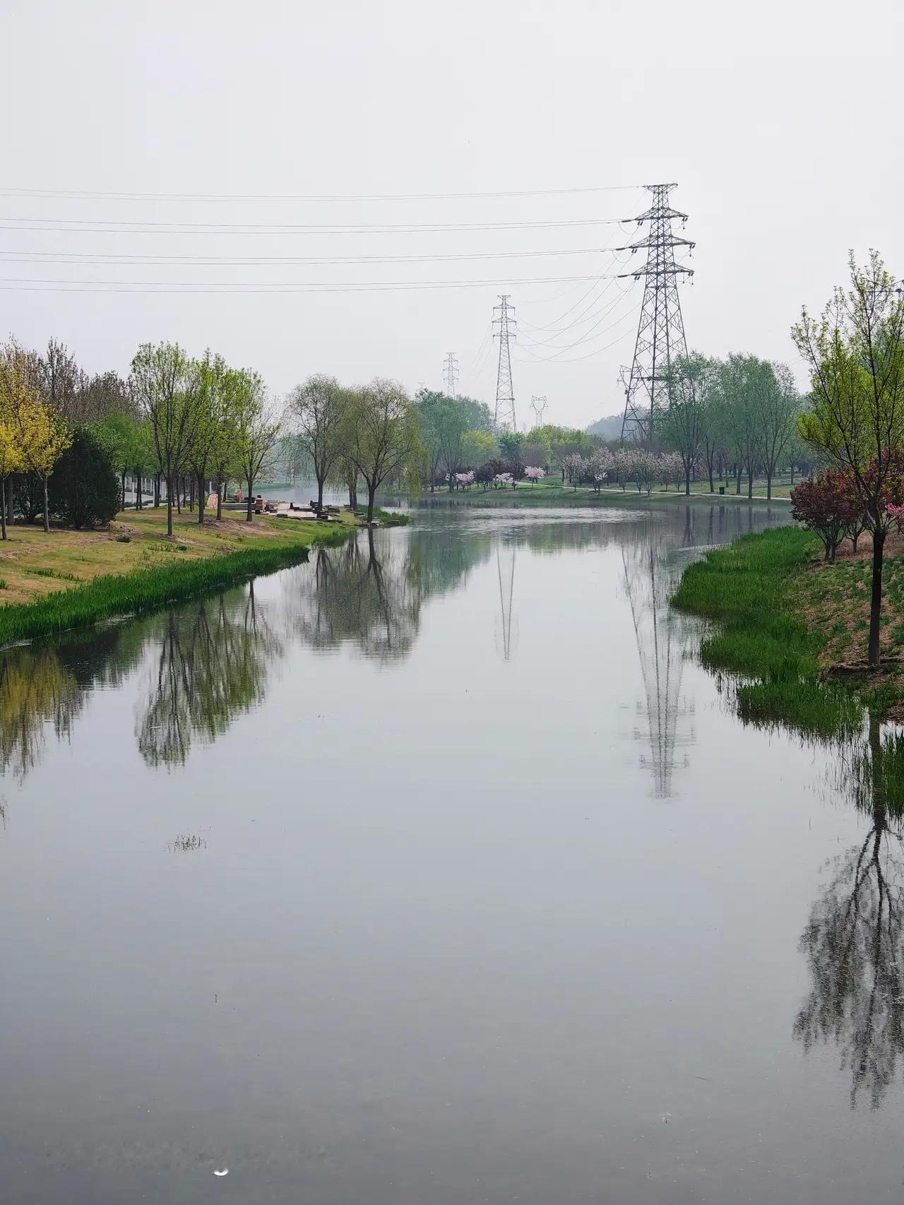 十年前这里空气呛得人睁不开眼，十年后我站在同一片土地上，花瓣落了一肩。

风一吹