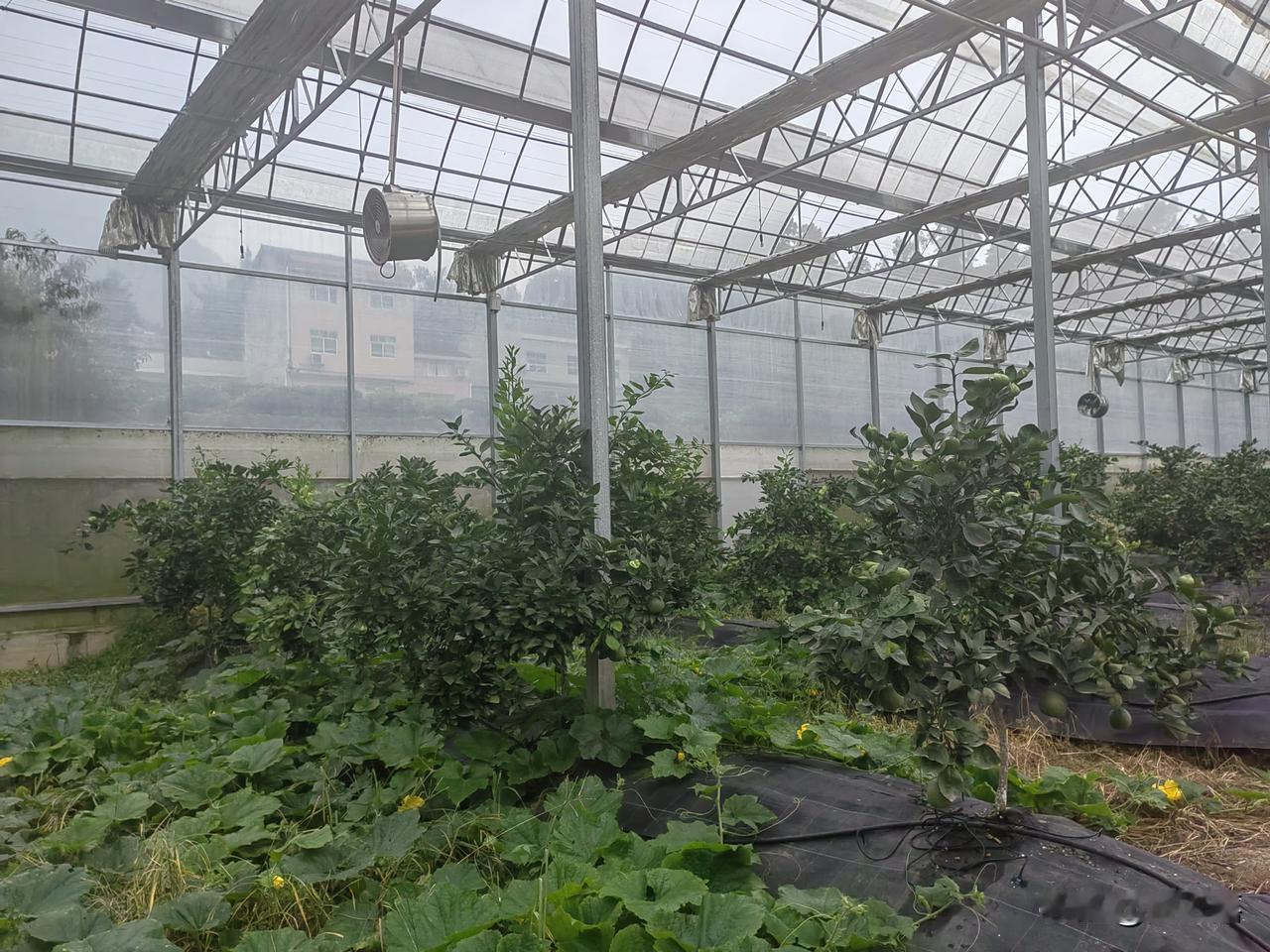 农村的土地在很多时候确实容易引发矛盾，是矛盾的根源所在，可不能听这些人在这儿瞎掰