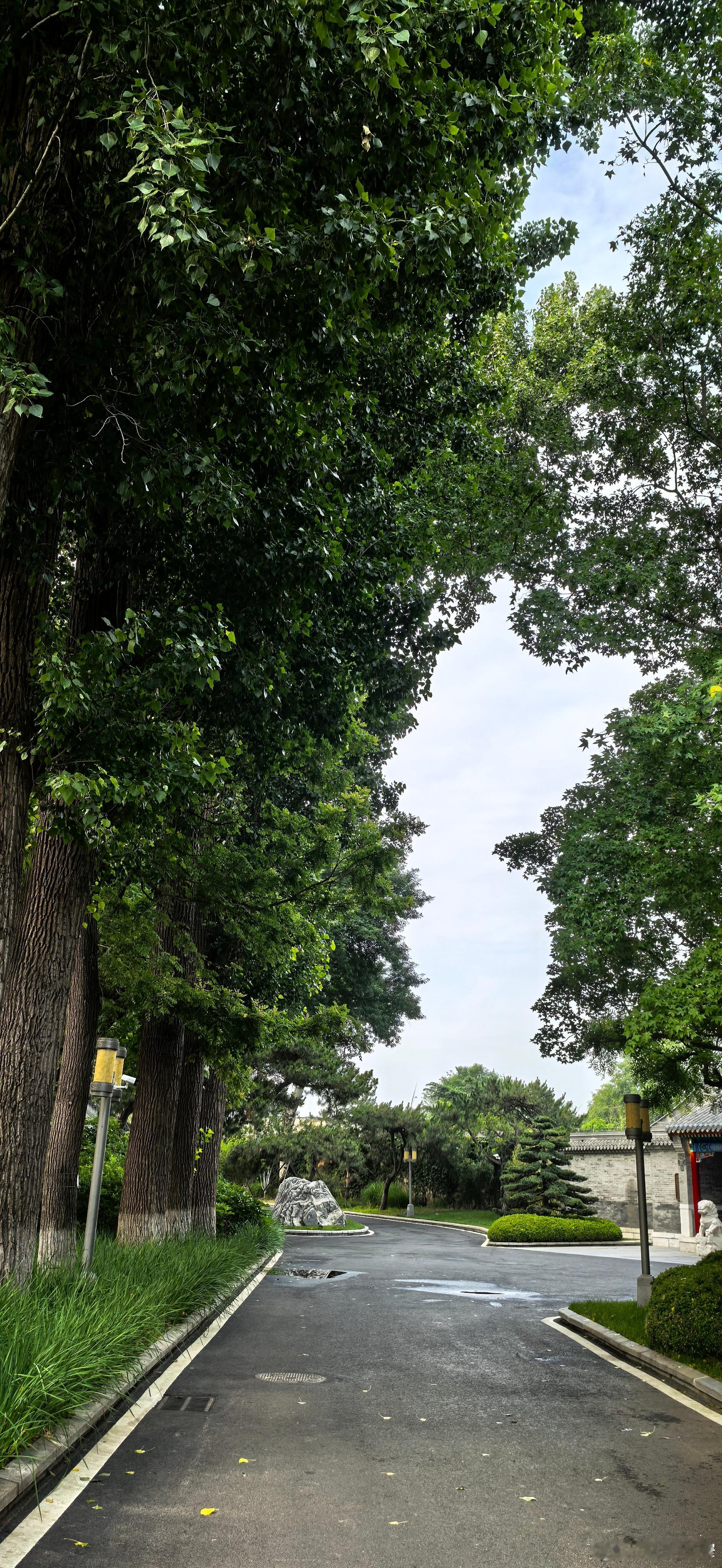 宽窄思语 竹影扫阶尘不动，月穿潭底水无痕… 