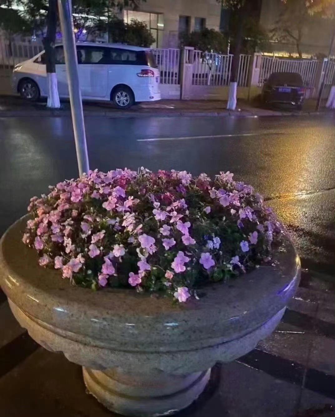 今年提前收到情人节🎁我很开心♥️这花送的很好，下次不许送了我真的搬不动情人节