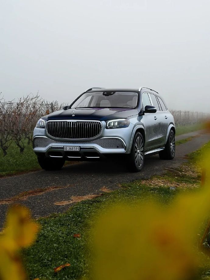 全球限量100台，奔驰GLS迈巴赫Edition 100！这台奔驰迈巴赫GLS6